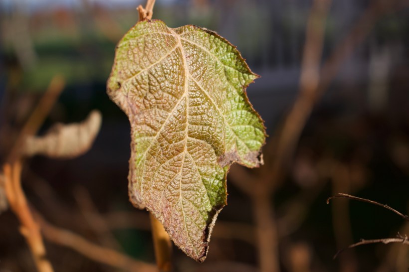 E32C69B1-42B5-482C-B66E-23798A5D7024