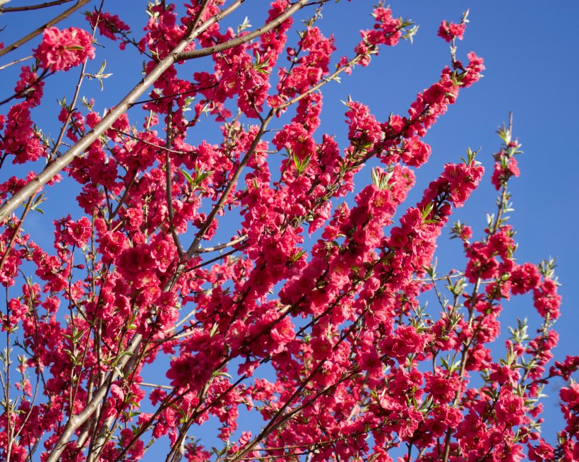 E9F65990-0829-4DB0-96D2-671FA173CB49