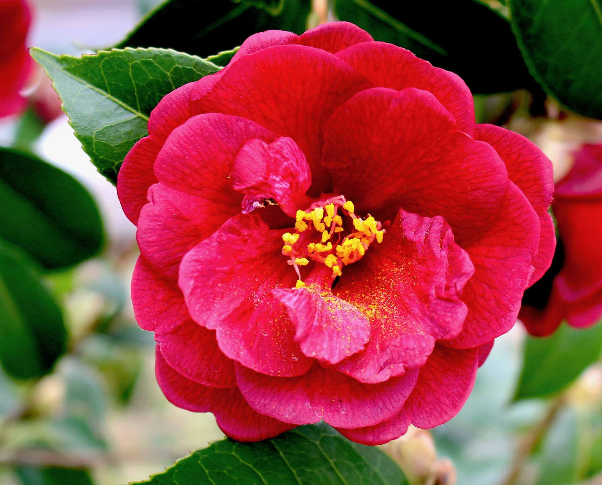 ED3A5C43-25E1-47CE-A42F-3CB667C34BB8