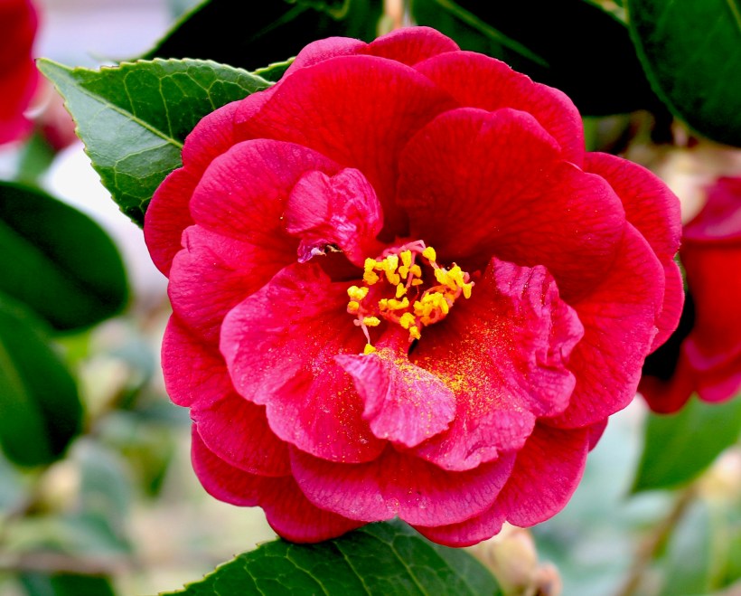 ED3A5C43-25E1-47CE-A42F-3CB667C34BB8