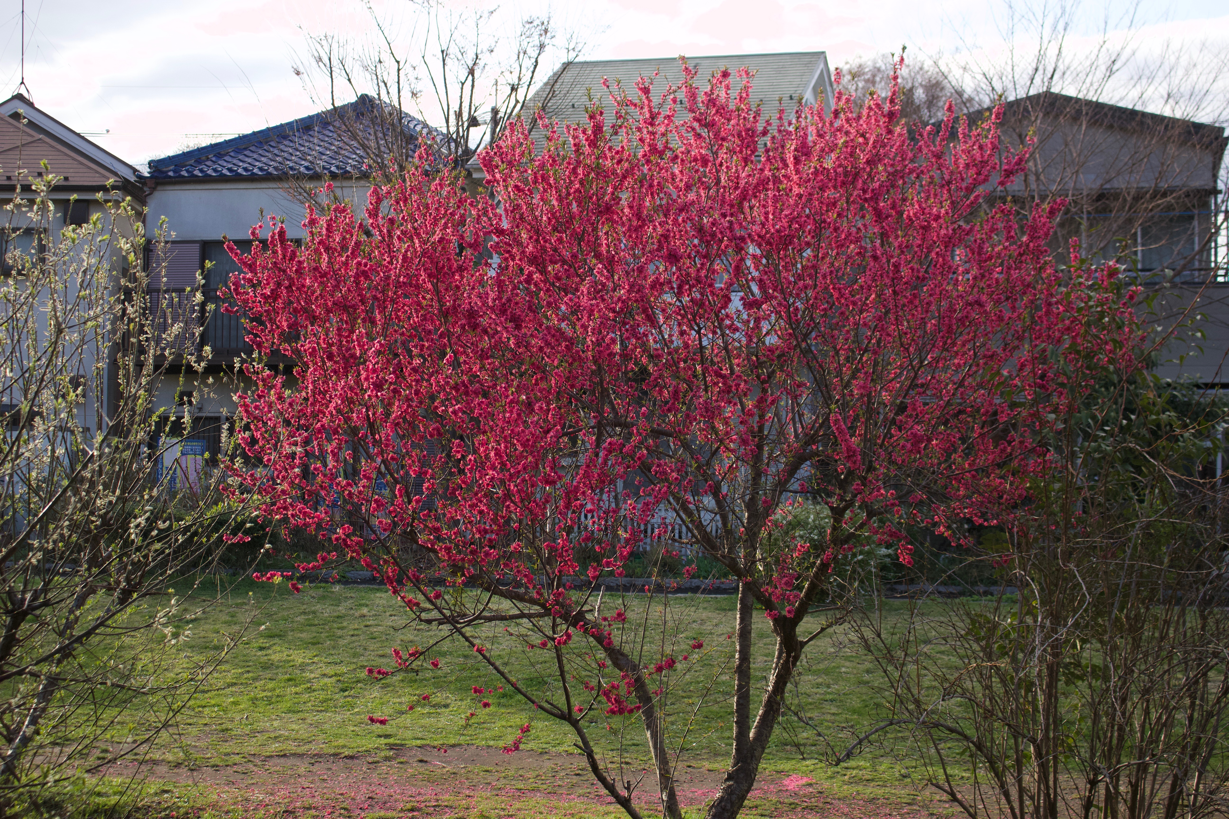 F063D50F-9333-4E88-A6A7-59AD1F412D5A