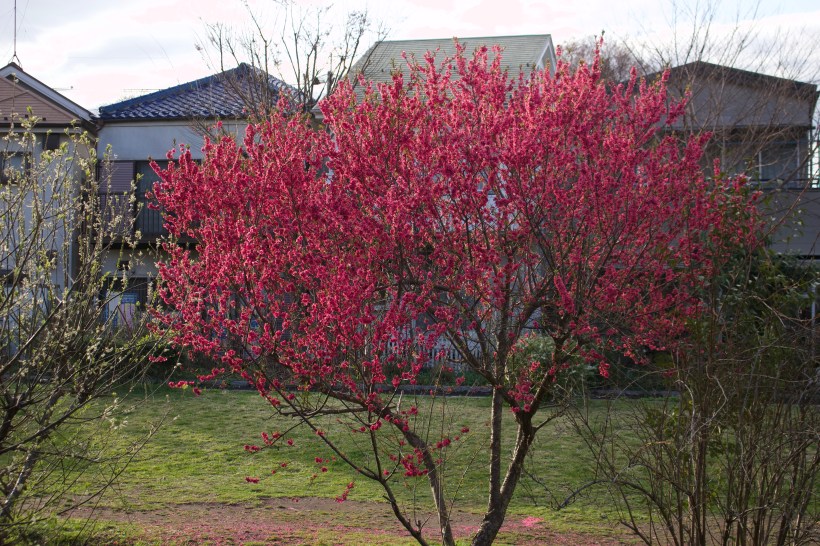 F063D50F-9333-4E88-A6A7-59AD1F412D5A