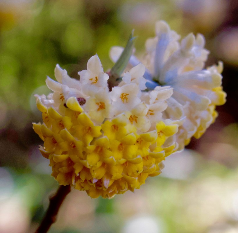 F126034B-D8BD-48B9-BFB6-4700D1AC1D9D