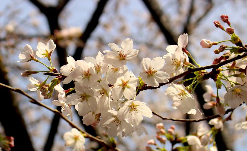 F18EC6DB-F629-4B0D-80A2-DDA6451DD95B