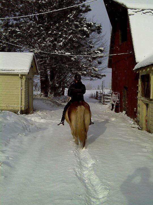 30729559_10160153251060462_5672682355177816064_n