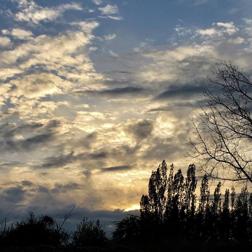 31793535_1681776455233002_3060757337678544896_n