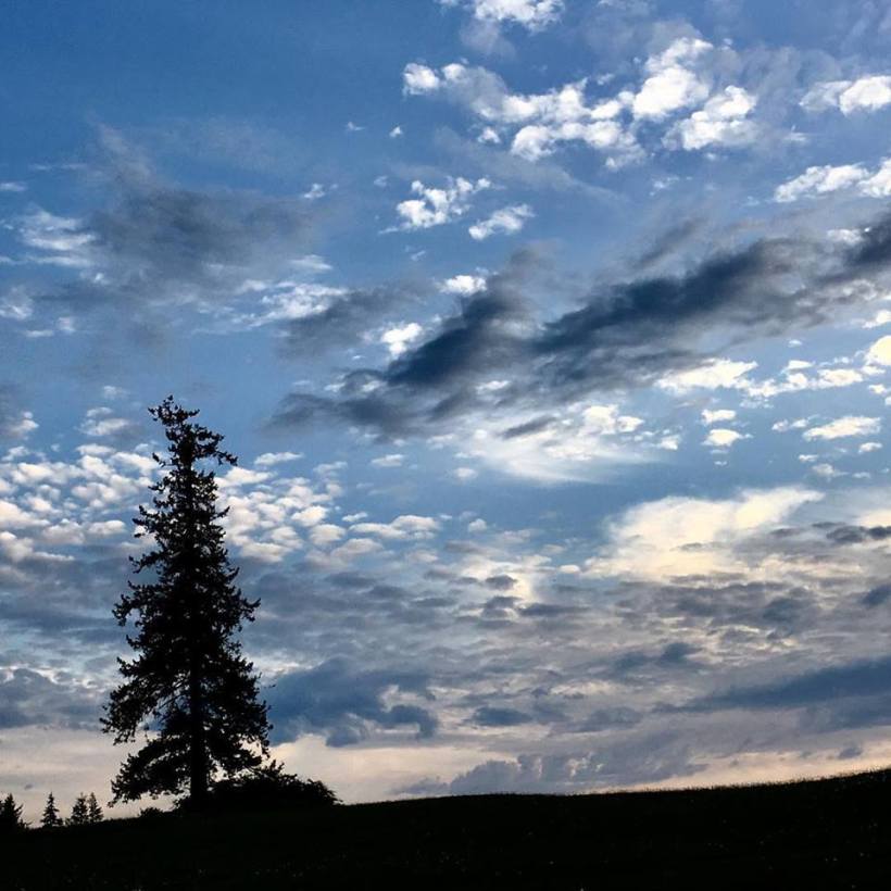 31947879_1681774925233155_3576065173095448576_n