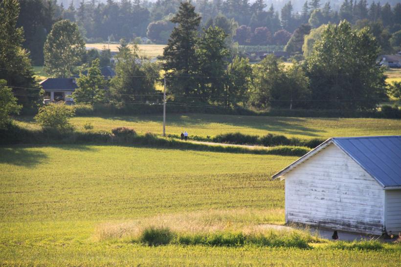 243795_10151057271286119_1253675824_o