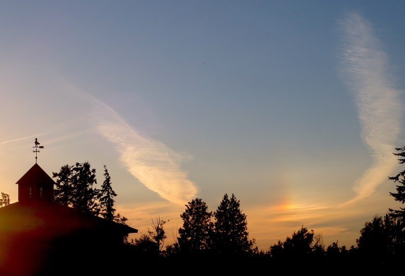 sundog1