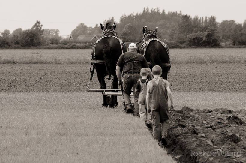 11169800_1063275880368391_3136647902252647854_o