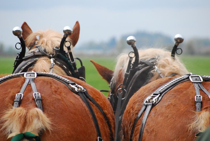 26471_113888315307157_6088300_n