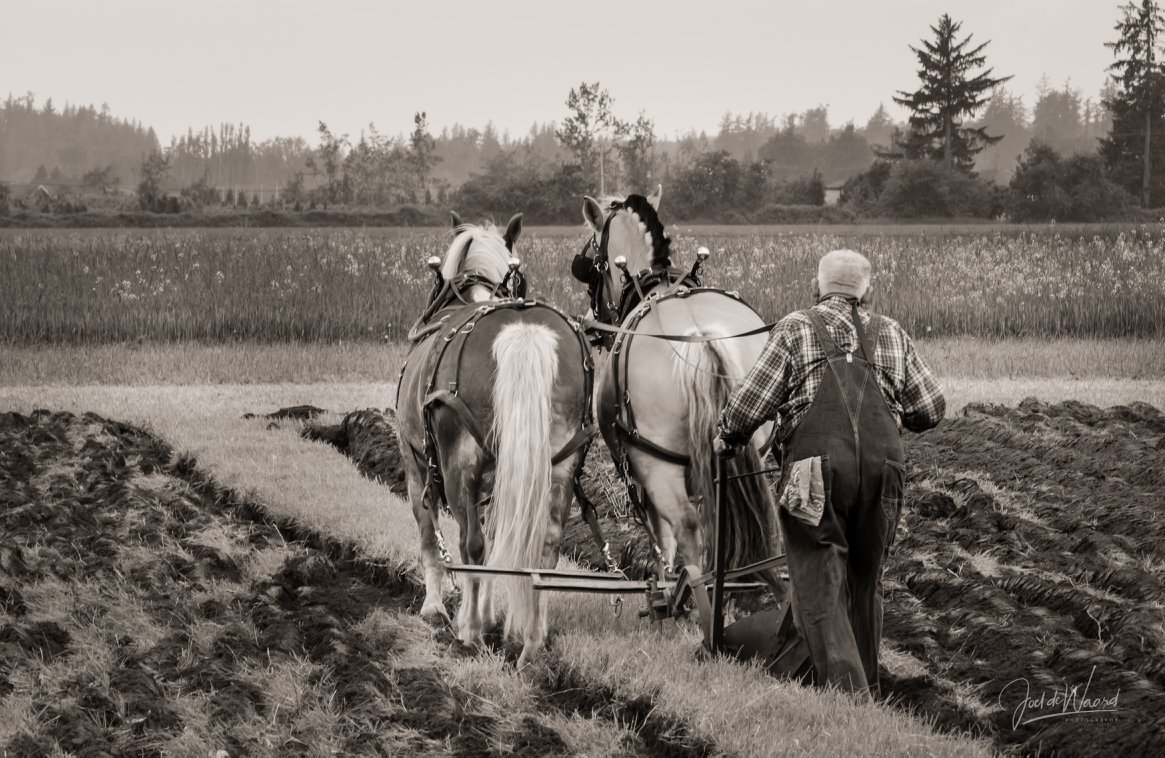 33099789_2095635050465797_6215401015475175424_o