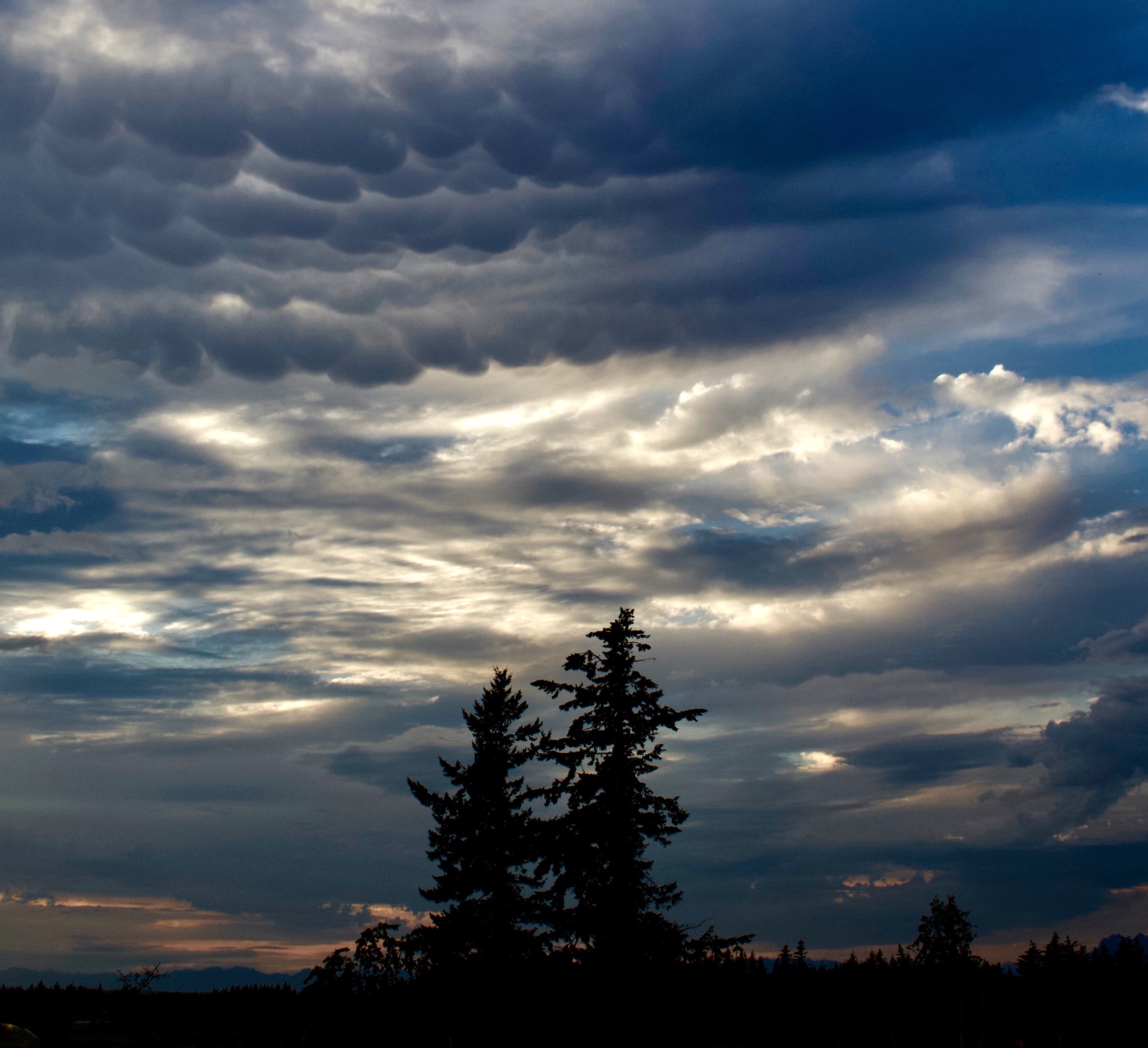mammatus75188