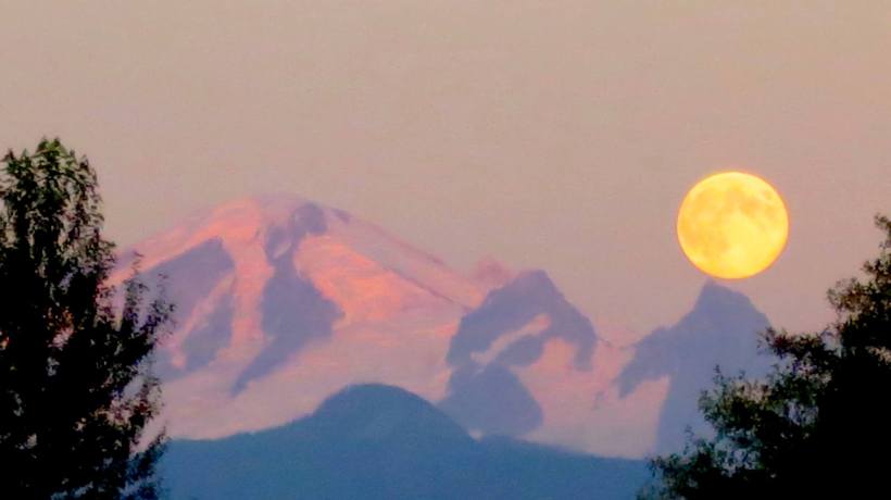 1097754_10151819760756119_811672979_o