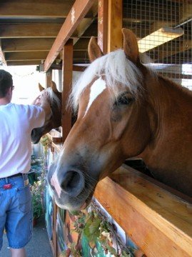 198007_9141265461_4792_n