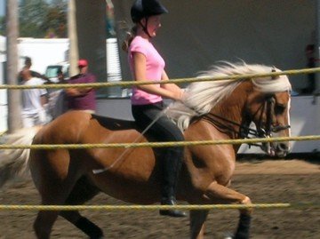 208111_9141245461_4111_n