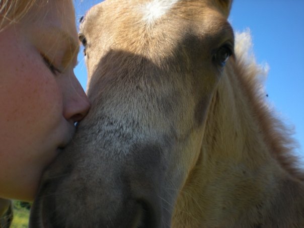 224746_1024776858833_3119_n