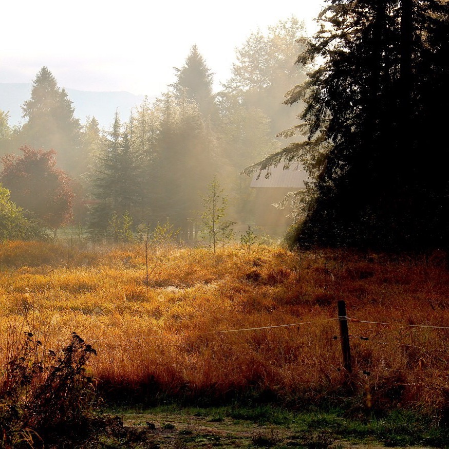 4CFF045D-B244-46BB-B851-FFF3AE857312