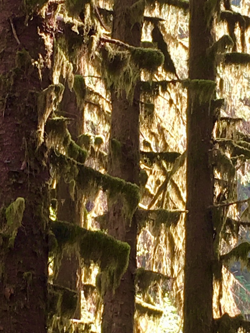 54383DC8-2944-4FEE-9951-504579CD6645