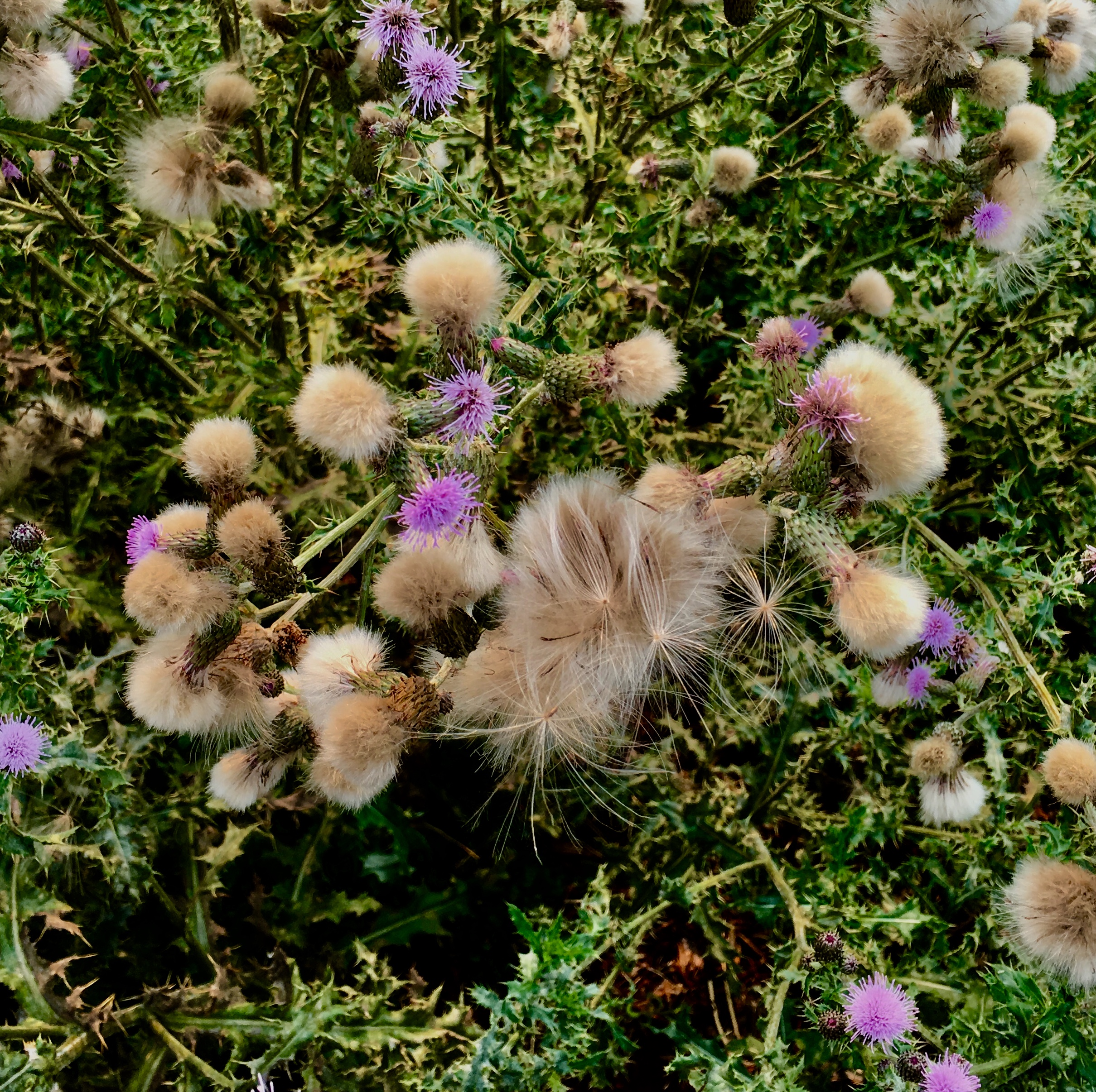 6229131C-F0A0-4B1C-A487-6BD0B0334401