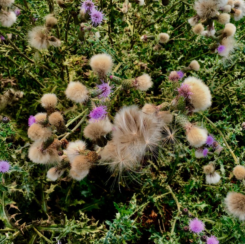 6229131C-F0A0-4B1C-A487-6BD0B0334401