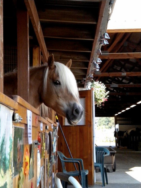 72569_10150291399815462_2729185_n