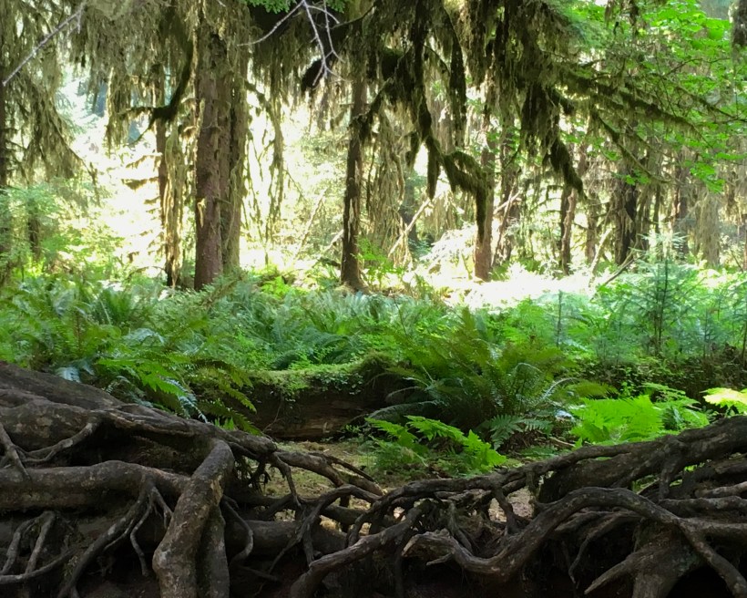 7BBF852B-0726-4C5D-86D5-1AFC106F1F7D