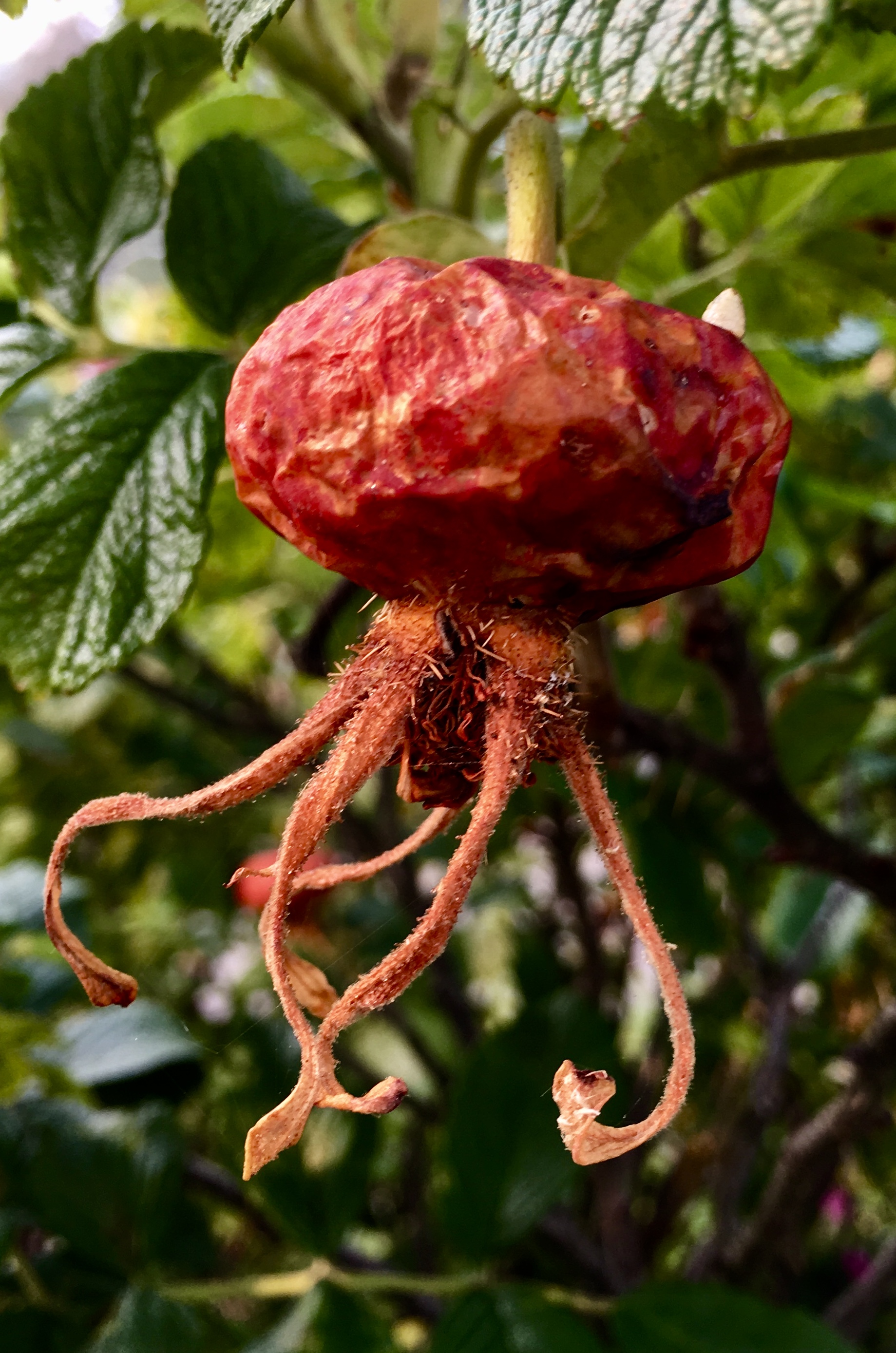 921C3605-E2A8-49BC-B87C-9FA329F13169