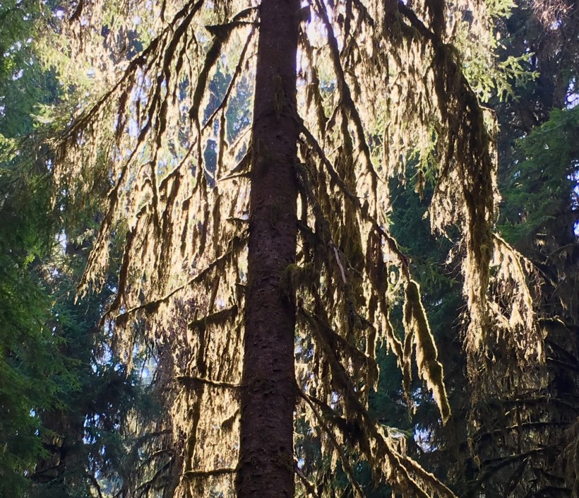 9CF99654-05C8-4F0E-AB6B-3671412192C9