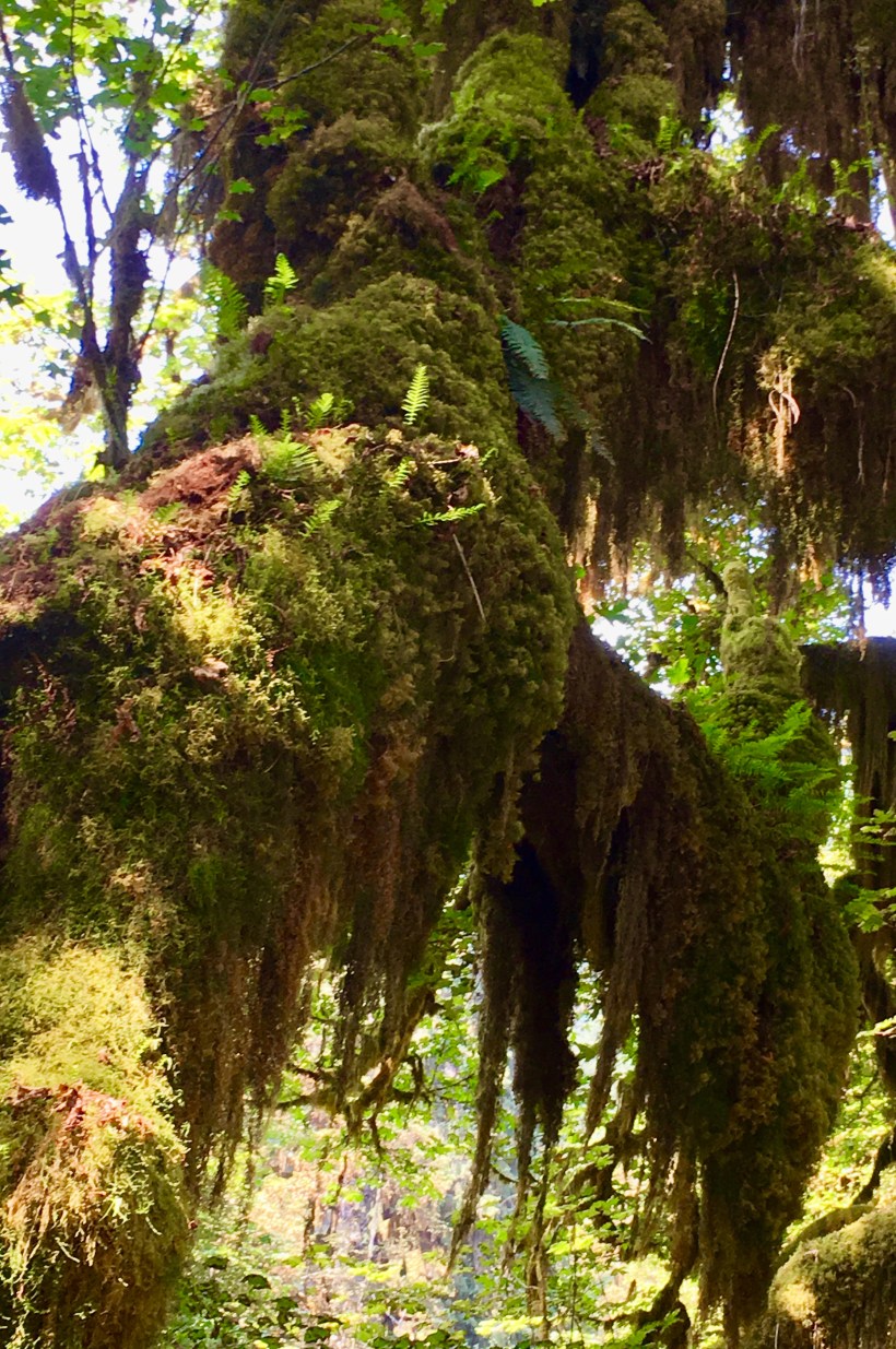 B873864C-B916-4557-BE0C-1E04D8B25E22