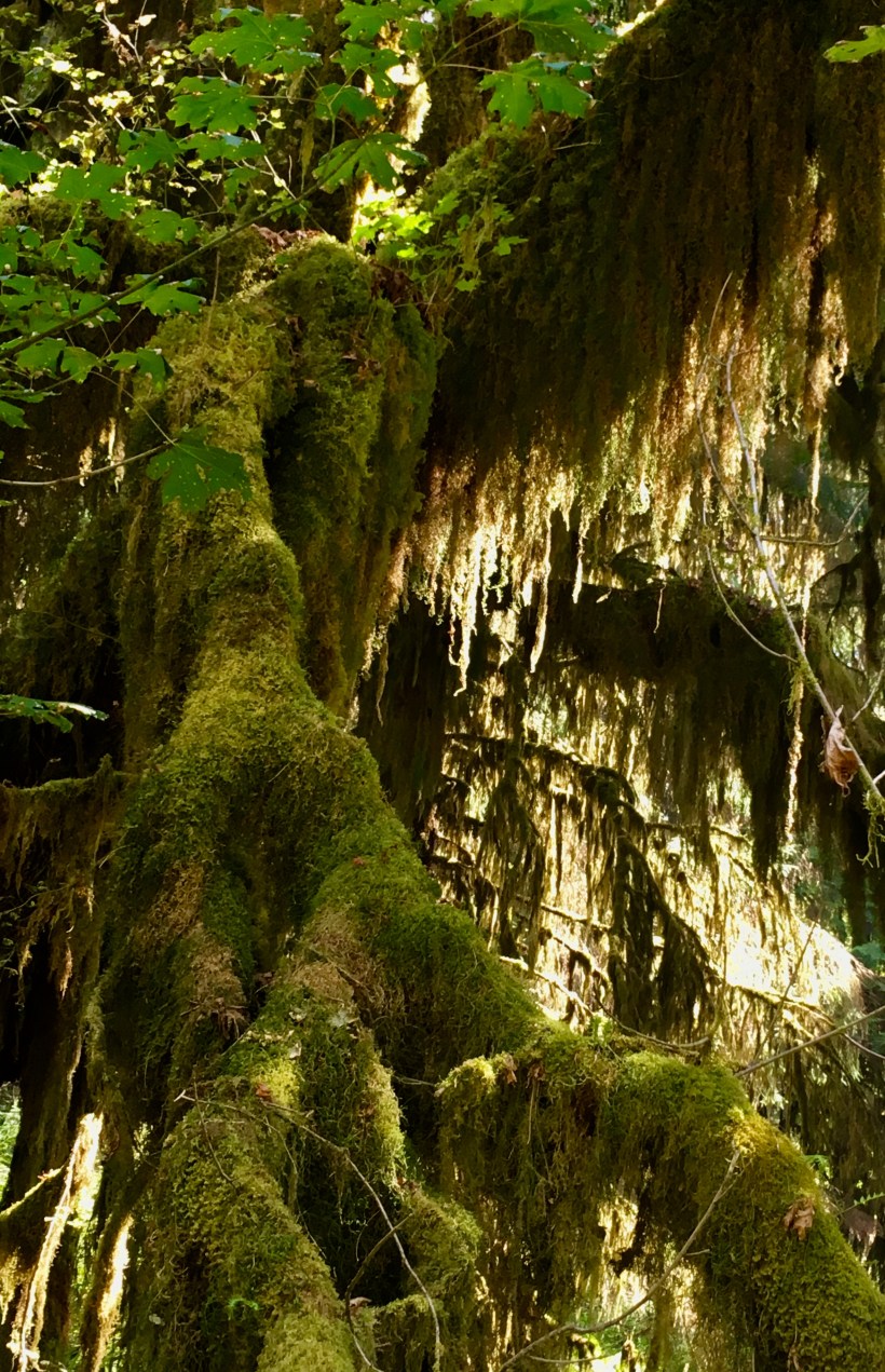 C3FB0FBB-7247-4C41-8400-6A10A8E74DF2