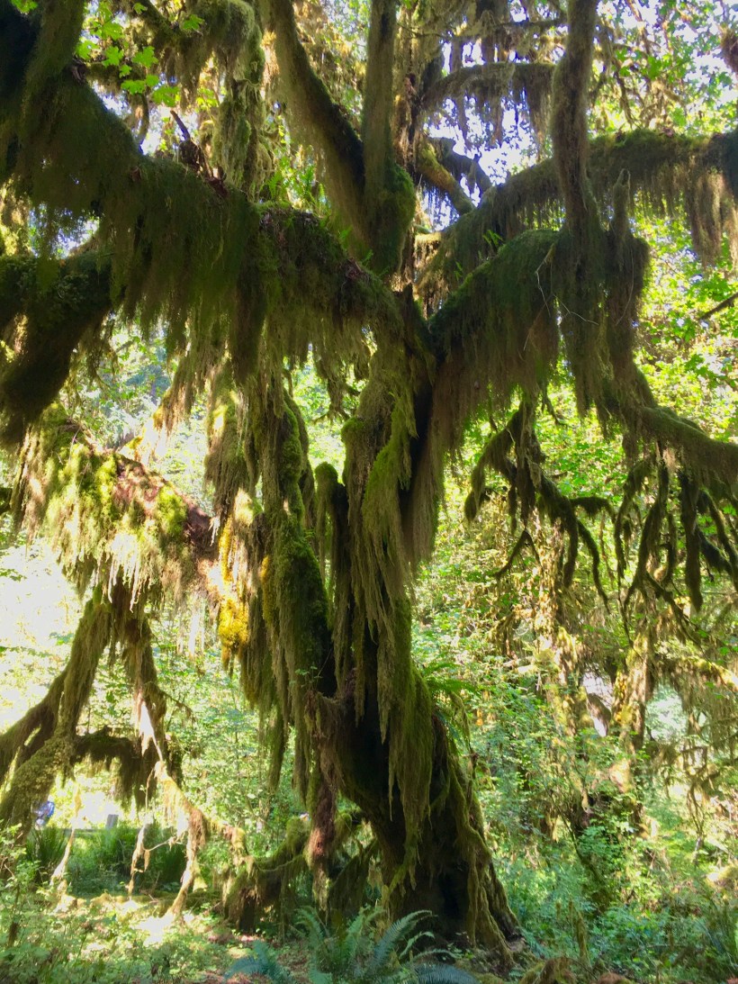 CD92F798-E7D9-4196-85FF-2C27C55BFA4D