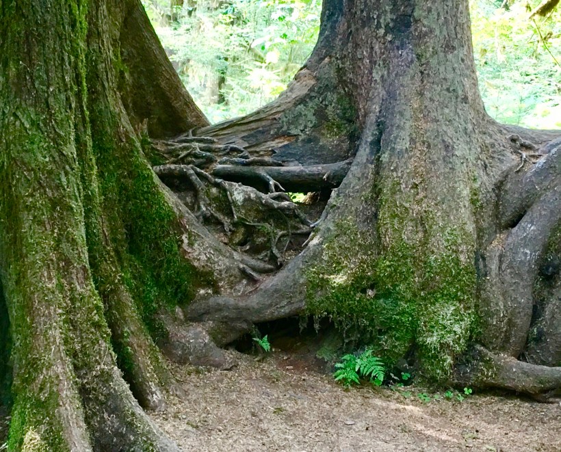 D87B426E-9D05-4A49-8AAE-9D3B57827E41