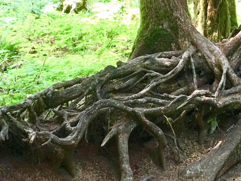 E81D4B05-4095-44BF-926E-36443E0C6927