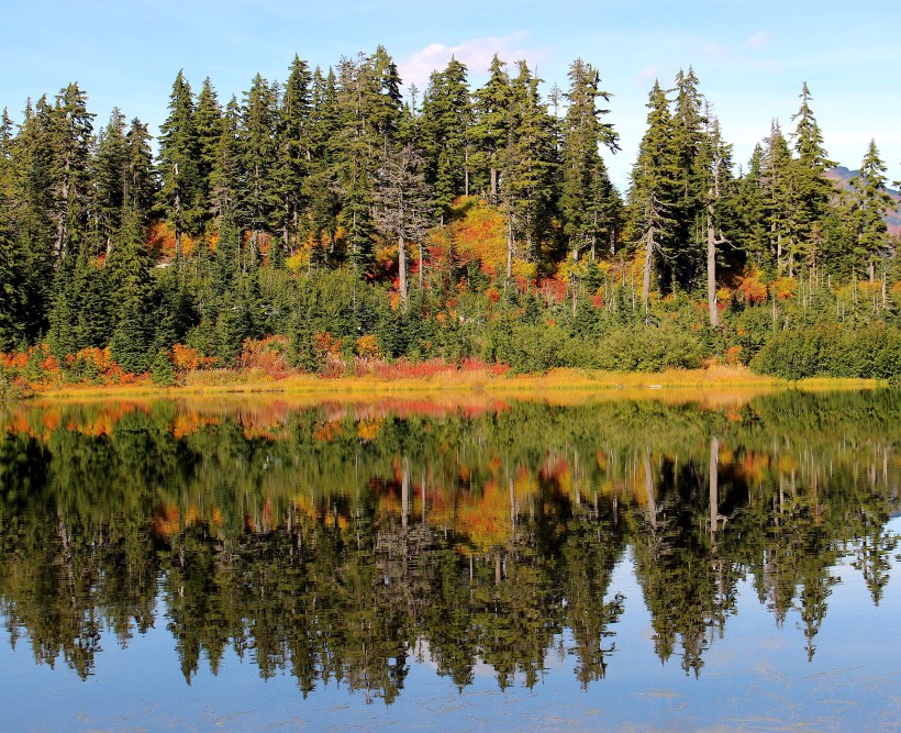 heathermeadowfoliage4