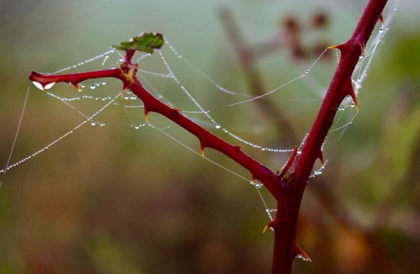 47497792_1984524841624827_1683846184709390336_o