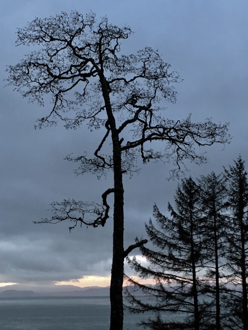 E7C12D6C-072C-44F8-B8F4-E23B6AAF82D2