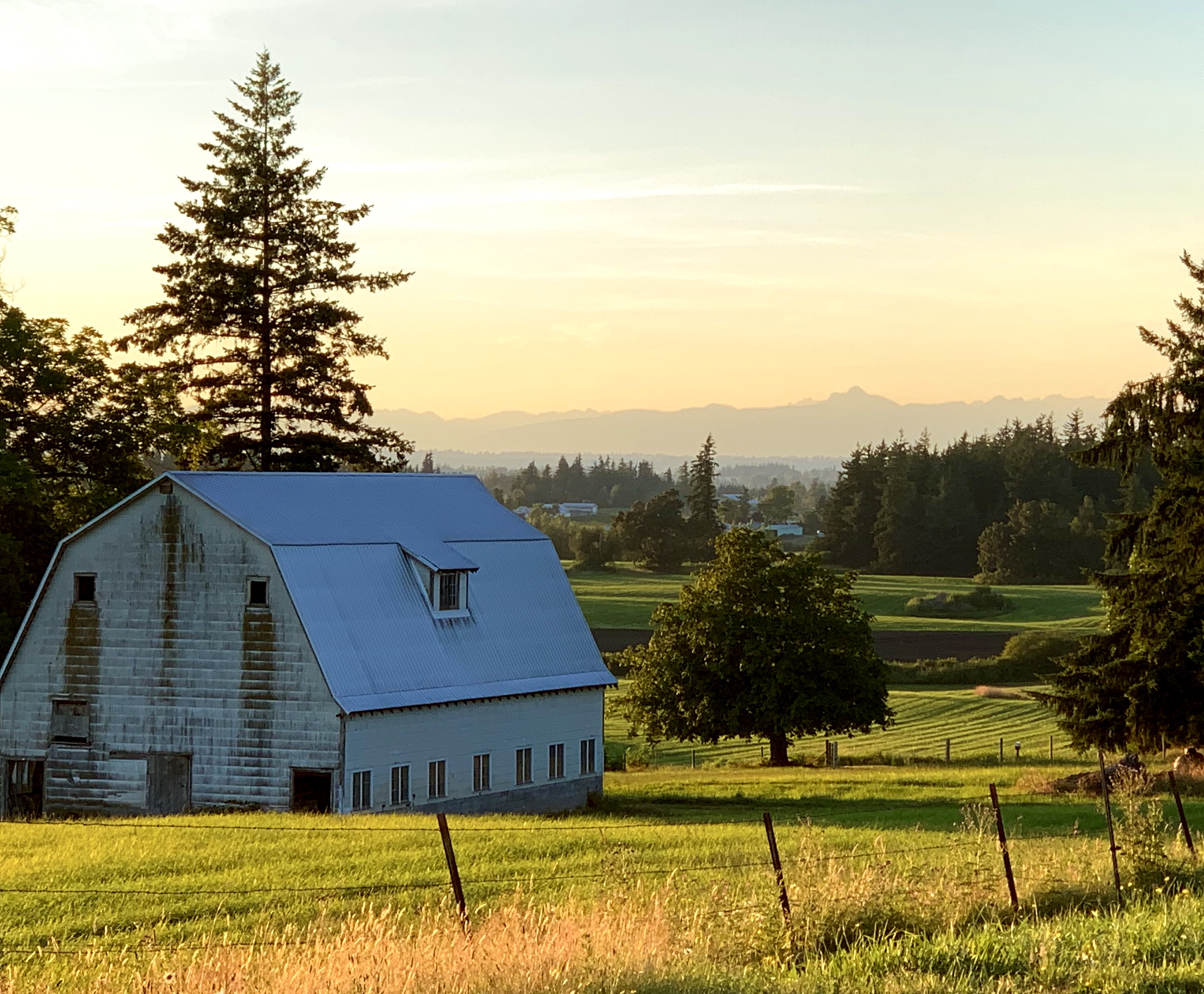 goldenbarn – Barnstorming